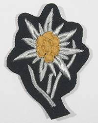 Officer Mountain Troop Cap Insignia 1 Officer Mountain Troop Cap Insignia