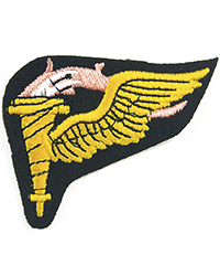 Airborne Pathfinder Torch 1 Airborne Pathfinder Torch