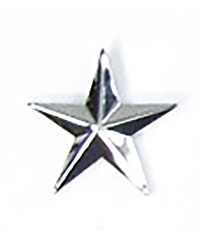 Brigadier General Rank 1 Brigadier General Rank